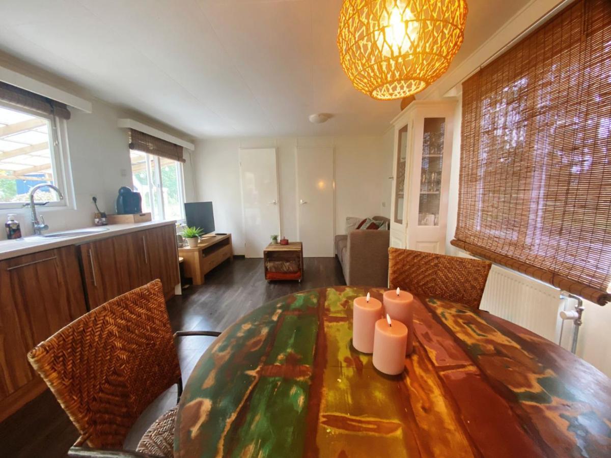 Chalet With Access To The Woods - No 147 Anloo ภายนอก รูปภาพ
