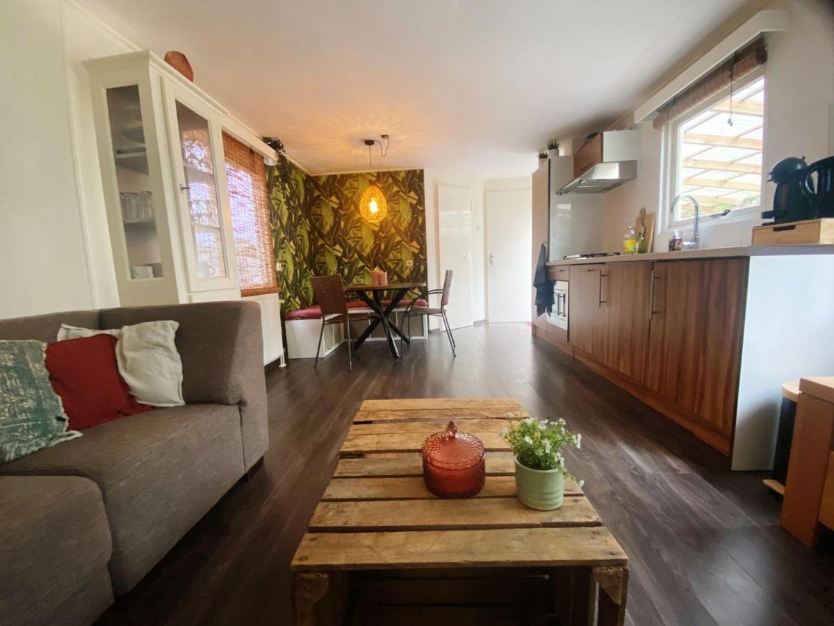 Chalet With Access To The Woods - No 147 Anloo ภายนอก รูปภาพ